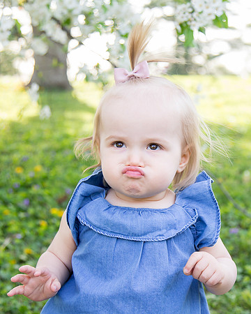 LillyBee Studio Ankeny, IA Child Photography #103